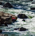 Ã¢â¬ÅDevilÃ¢â¬â¢s KitchenÃ¢â¬Â Rapids